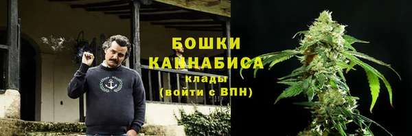 гашик Сафоново