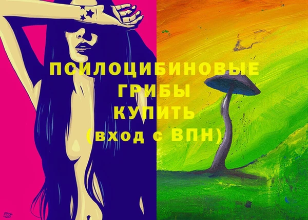 гашик Сафоново