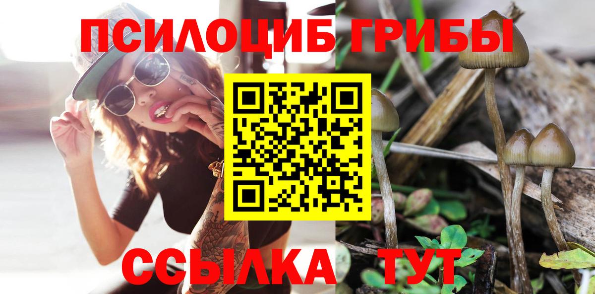 Галлюциногенные грибы Cubensis Апатиты